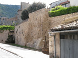 Muralla urbana de Oña