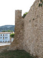 Muralla urbana de Oña