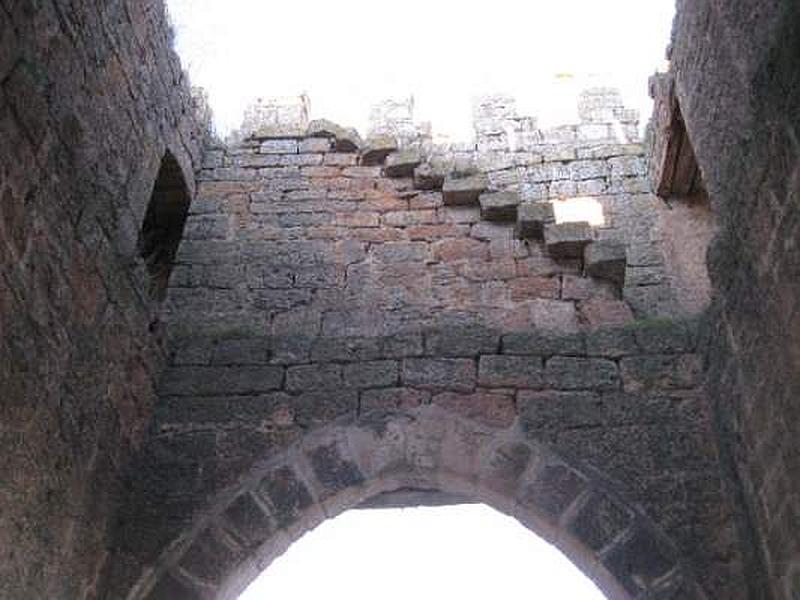 Muralla urbana de Sasamón