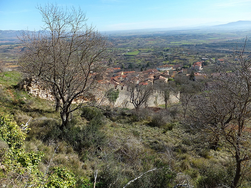 Muralla urbana de Poza de la Sal