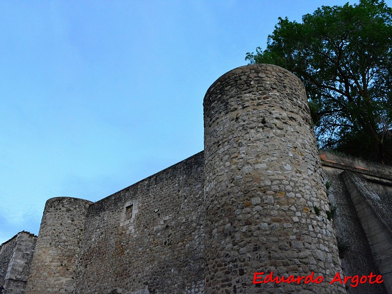 Muralla urbana de Medina de Pomar