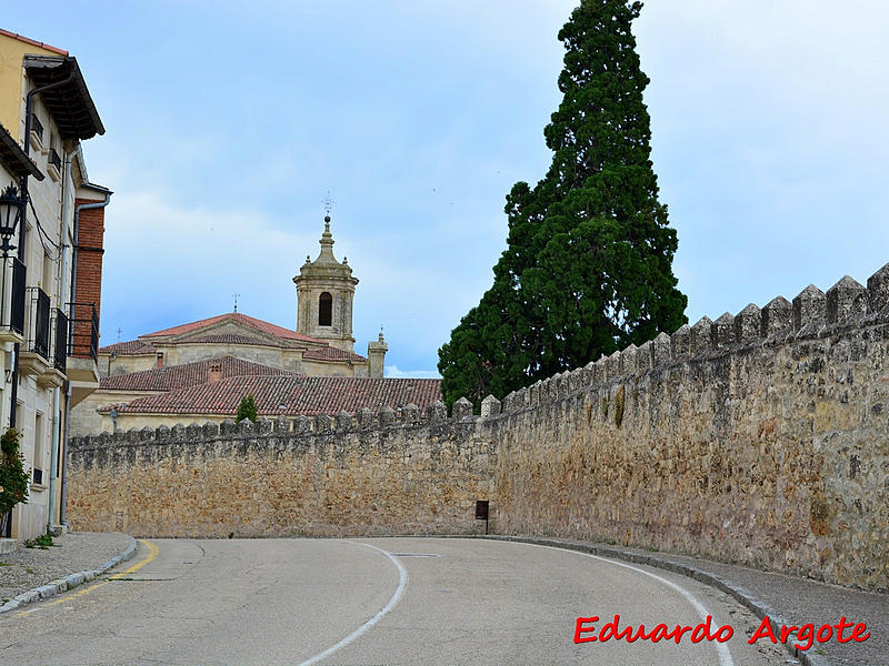 Muralla urbana de Santo Domingo de Silos