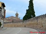 Muralla urbana de Santo Domingo de Silos