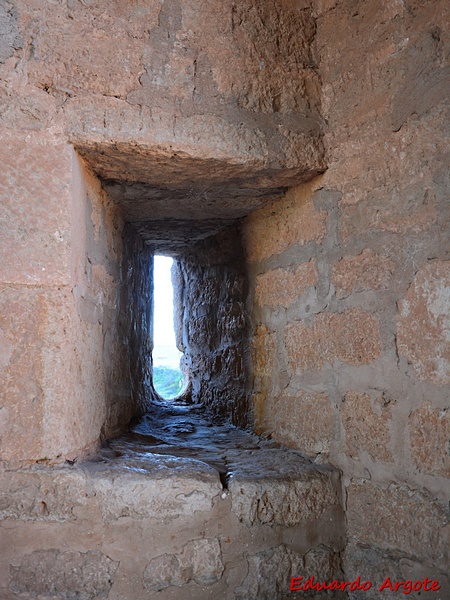 Muralla urbana de Santa María del Campo