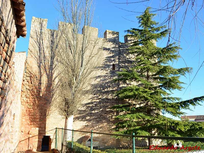 Muralla urbana de Santa María del Campo