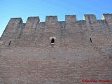 Muralla urbana de Santa María del Campo