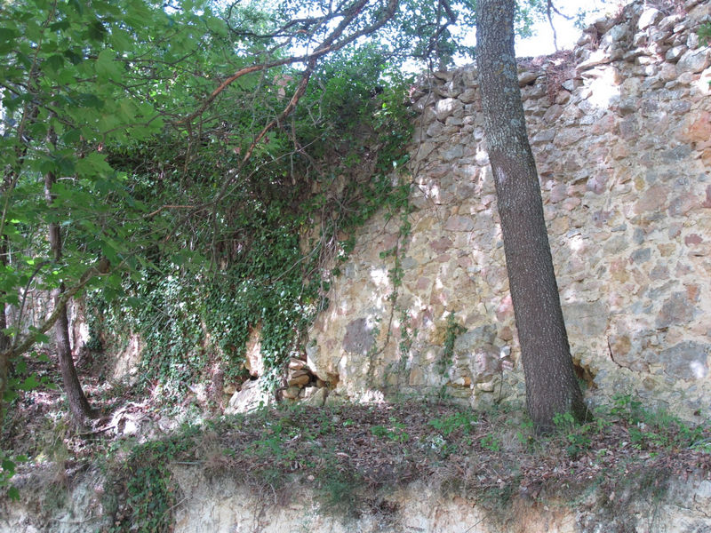 Monasterio de San Salvador