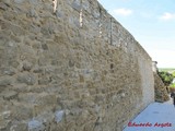 Muralla urbana de La Puebla de Arganzón