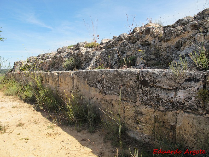 Castillo de Gumiel de Izán
