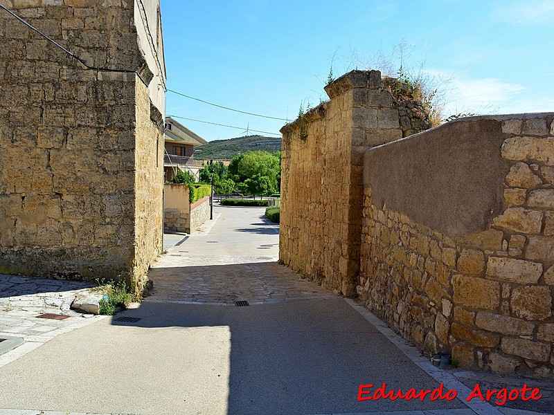 Muralla urbana de Los Balsares