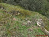 Castillo de Castrillo de la Vega