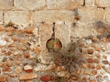 Castillo de los Duques de Alba