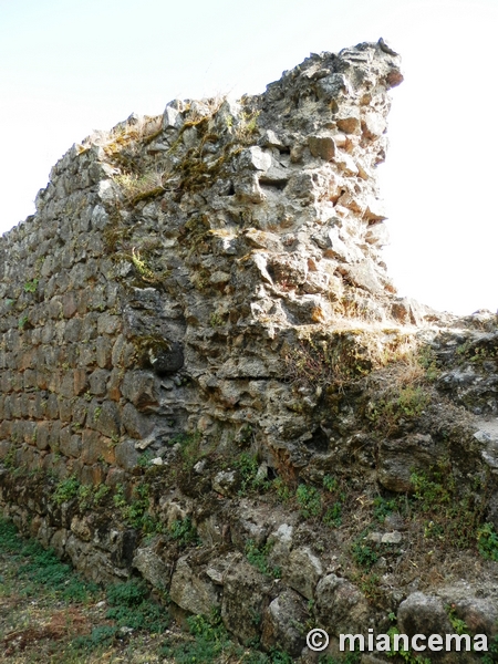 Castillo de Santibáñez el Alto