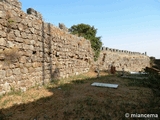 Castillo de Santibáñez el Alto