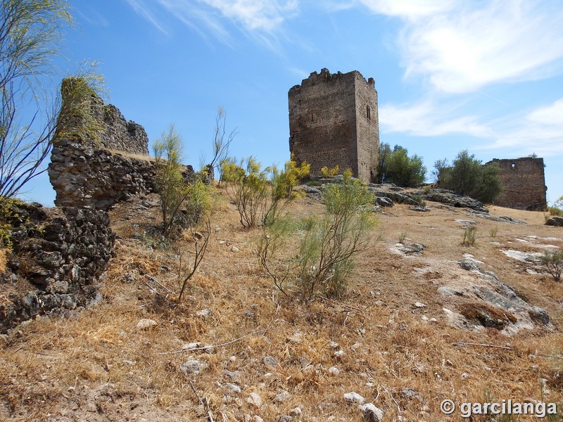 Castillo de Peñafiel