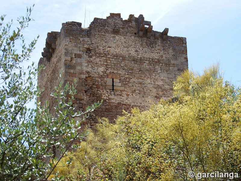 Castillo de Peñafiel