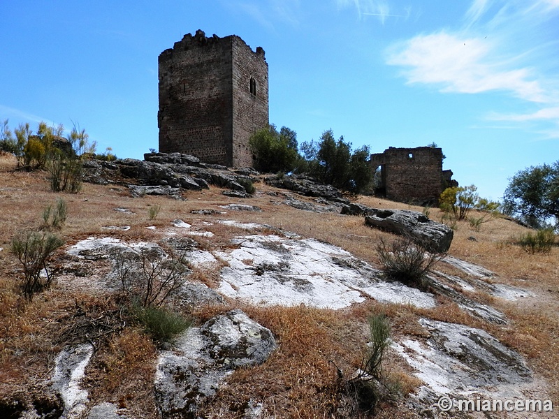 Castillo de Peñafiel