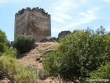 Castillo de Peñafiel