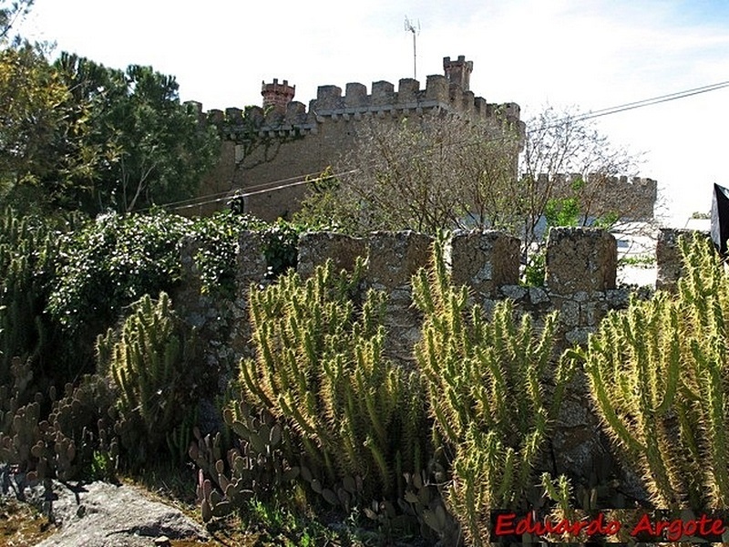 Castillo palacio de las Seguras