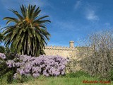 Castillo palacio de las Seguras