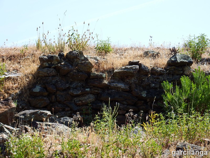 Muralla urbana de Salvaleón