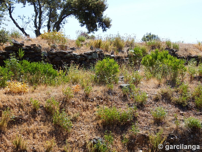 Muralla urbana de Salvaleón