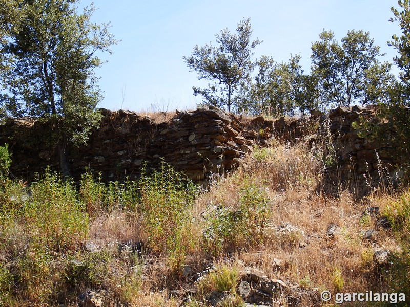 Muralla urbana de Salvaleón