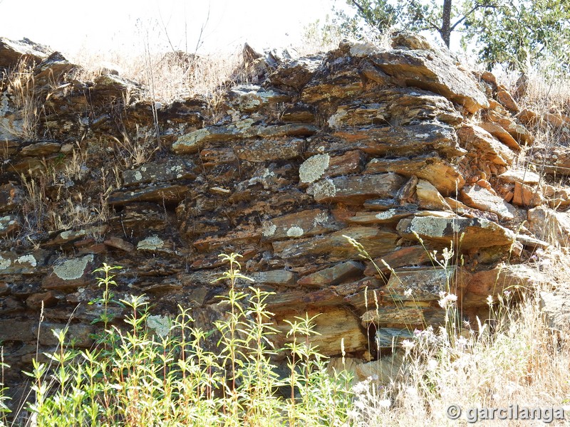 Muralla urbana de Salvaleón