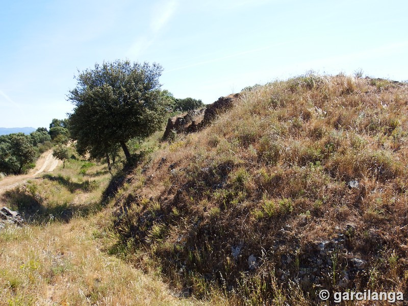 Muralla urbana de Salvaleón