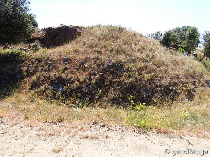 Muralla urbana de Salvaleón