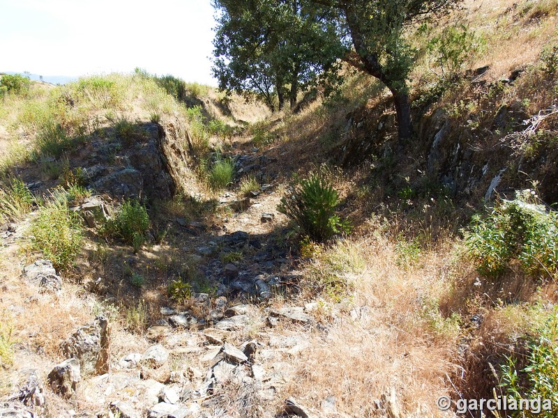 Muralla urbana de Salvaleón