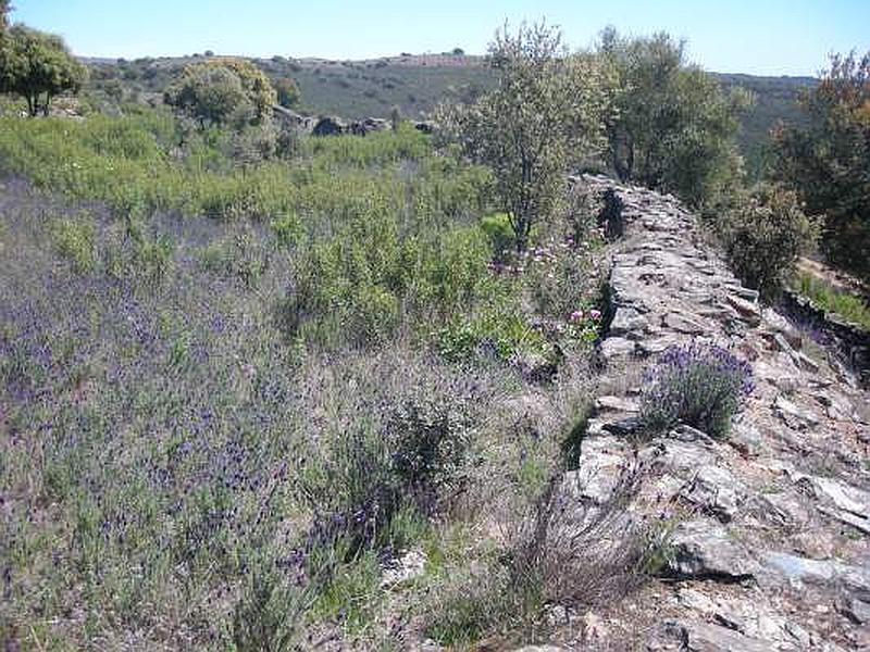 Muralla urbana de Salvaleón