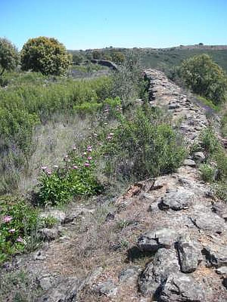 Muralla urbana de Salvaleón