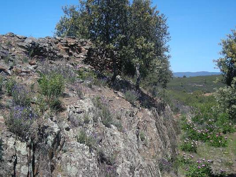 Muralla urbana de Salvaleón