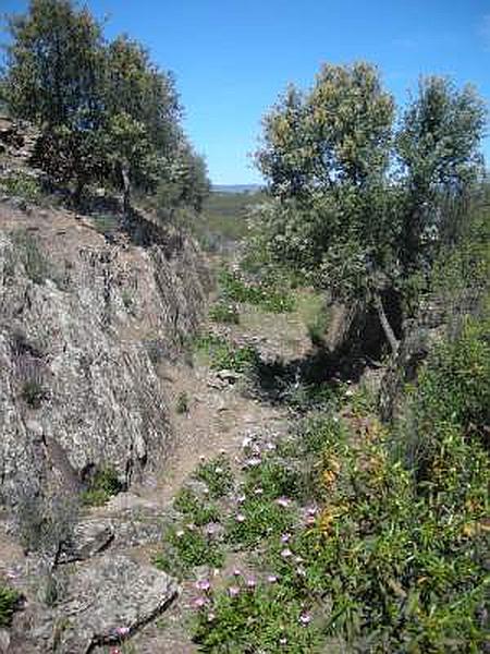 Muralla urbana de Salvaleón