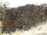 Muralla urbana de Salvaleón