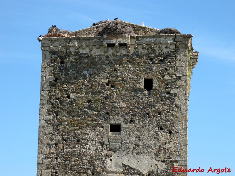 Castillo de Mogollones