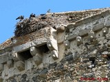 Castillo de Mogollones