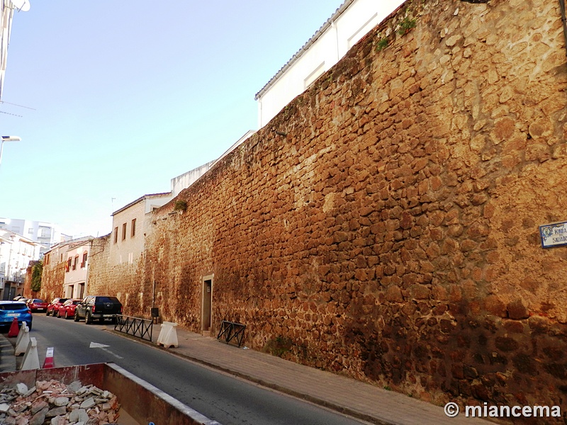 Muralla urbana de Plasencia