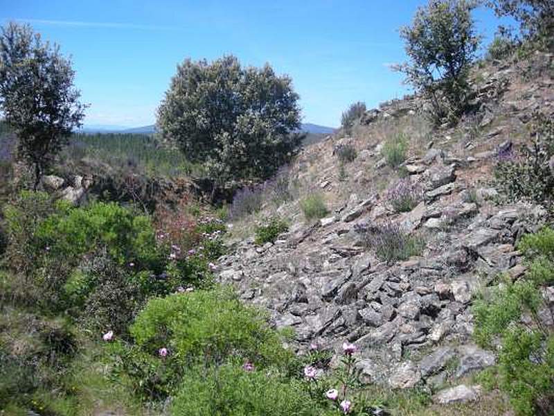 Castillo de Salvaleón