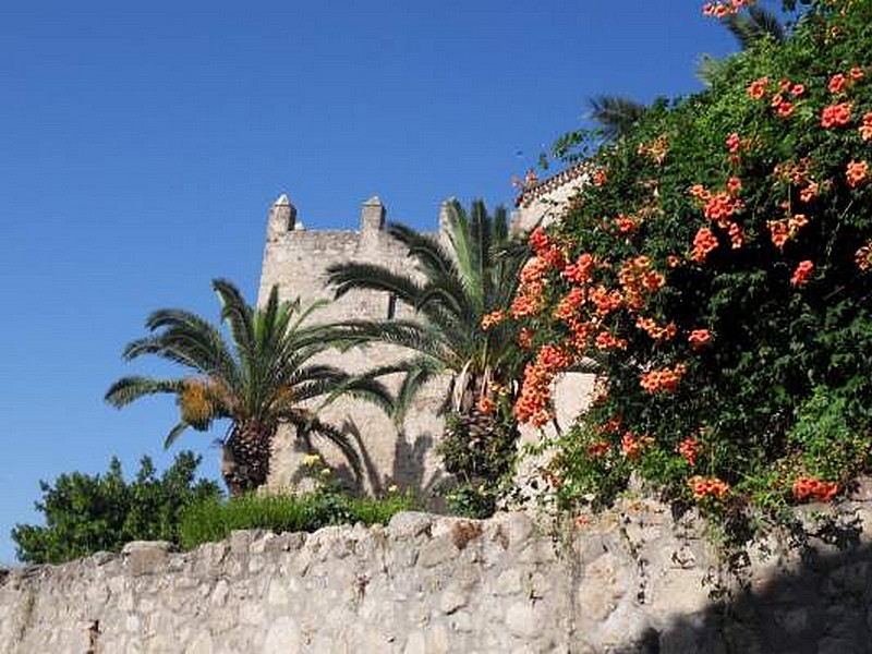 Alcázar de Luis de Chaves el Viejo