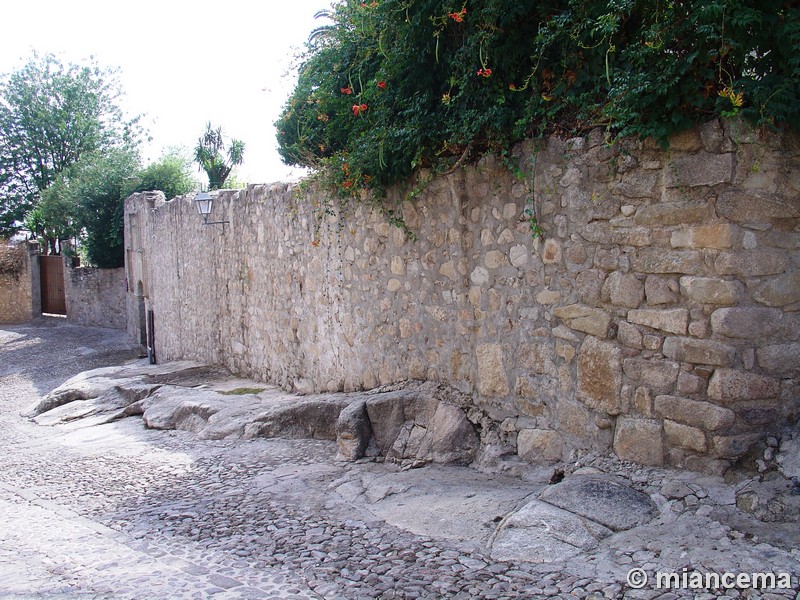 Alcázar de Luis de Chaves el Viejo