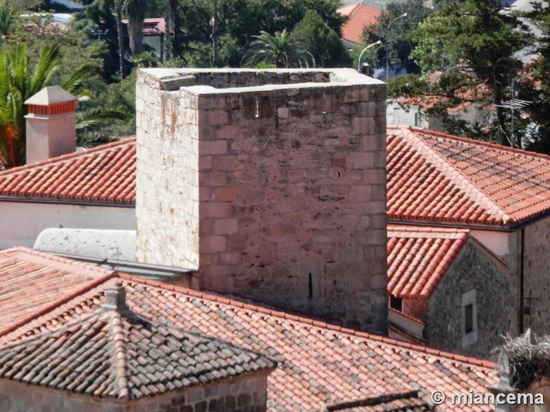 Alcázar de Luis de Chaves el Viejo