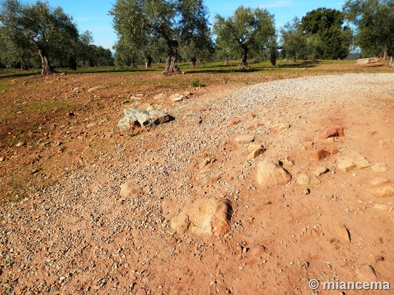 Muralla romana de Cáparra