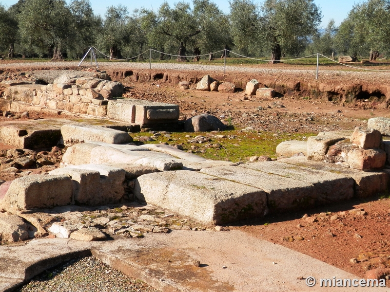 Muralla romana de Cáparra