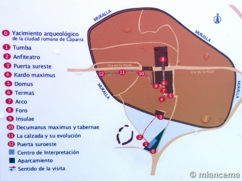 Muralla romana de Cáparra