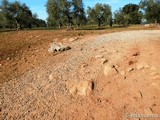 Muralla romana de Cáparra