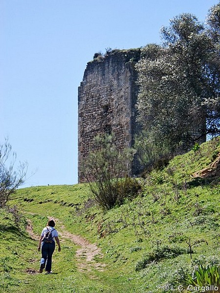 Torre de Mesa del Esparragal