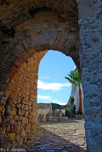 Castillo de Castellar Viejo