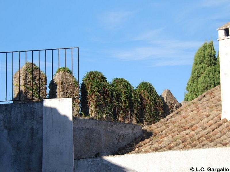 Muralla urbana de Castellar Viejo